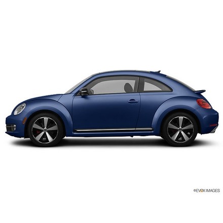 Beetle thumbnail 3